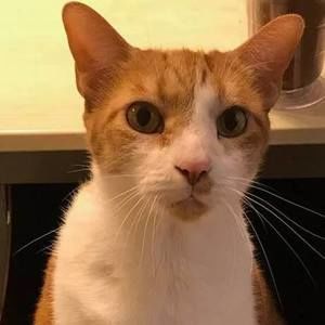 Meet your Posher, Hilary